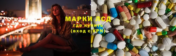 ПСИЛОЦИБИНОВЫЕ ГРИБЫ Алексеевка