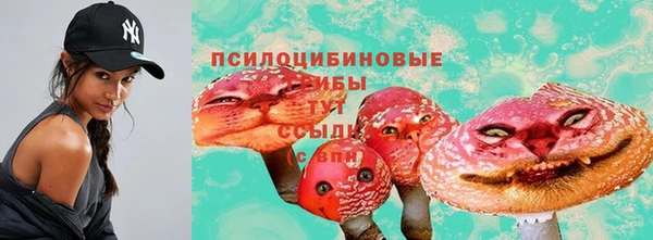 ПСИЛОЦИБИНОВЫЕ ГРИБЫ Алексеевка