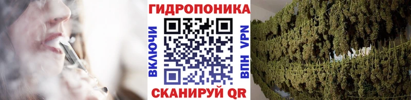 это клад  Приозерск  Канабис сатива  ссылка на мегу маркетплейс 